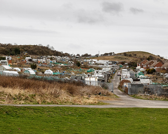 Tunstall Hills I