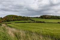 Tunstall Hills III