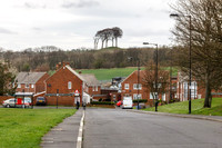 Copt Hill II