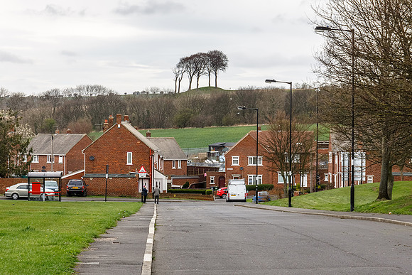 Copt Hill II