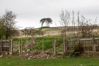 Copt Hill III