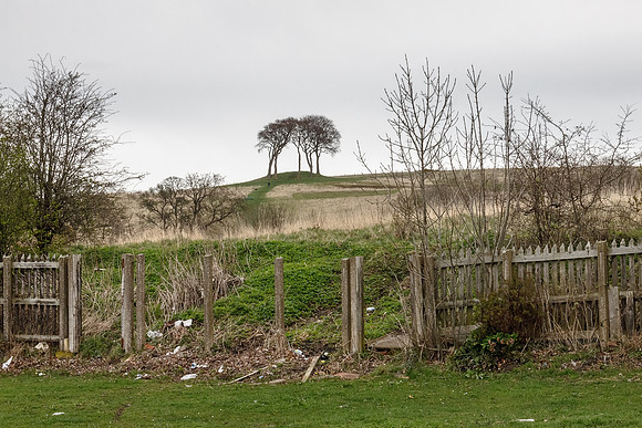 Copt Hill III