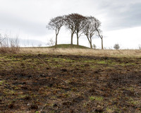 Copt Hill I